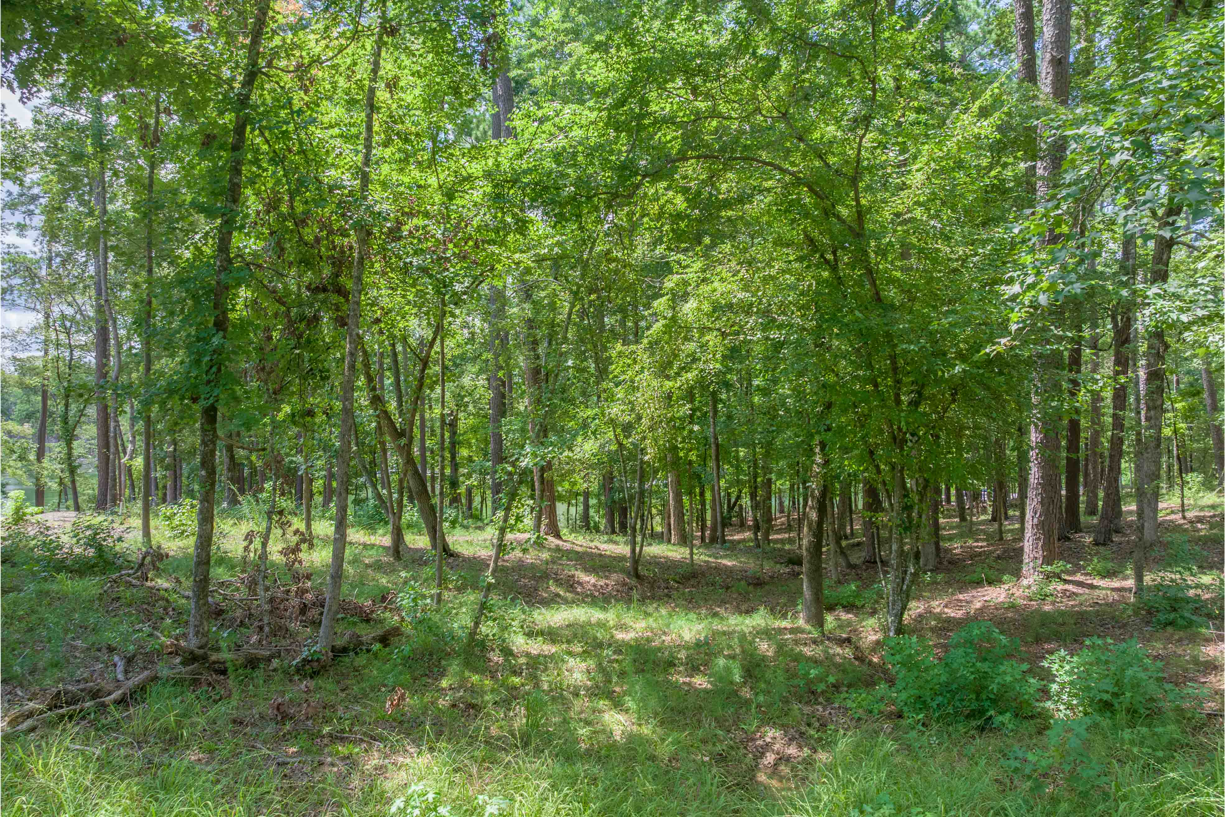 1491 Night Heron Drive image 8